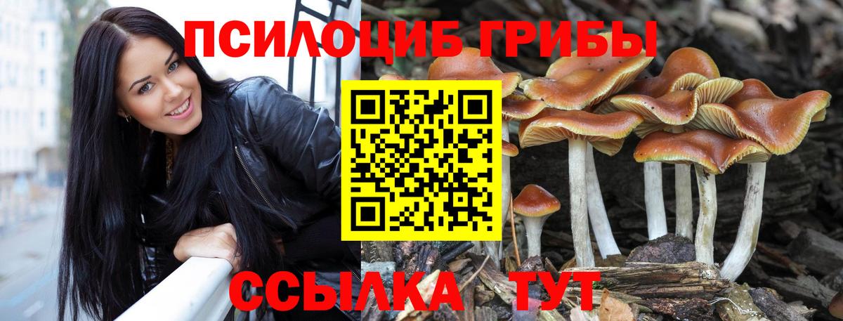 Иваново  купить наркотики цена  Вход с VPN  Галлюциногенные грибы ЛСД 