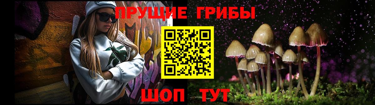 Псилоцибиновые грибы прущие грибы Иваново